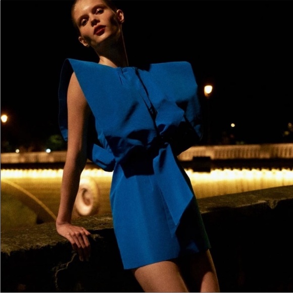 BLOGGERS FAVORITE zara voluminous dress LIMITED EDITION - Picture 6 of 15